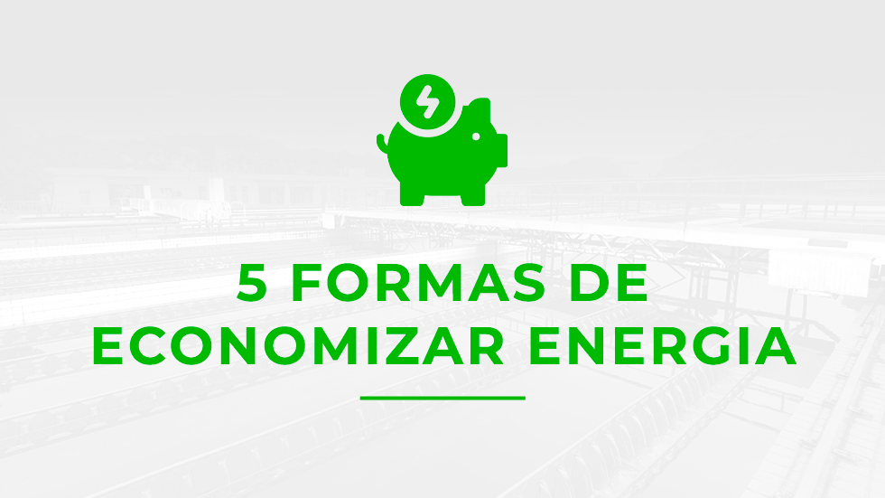 5 formas de economizar energia